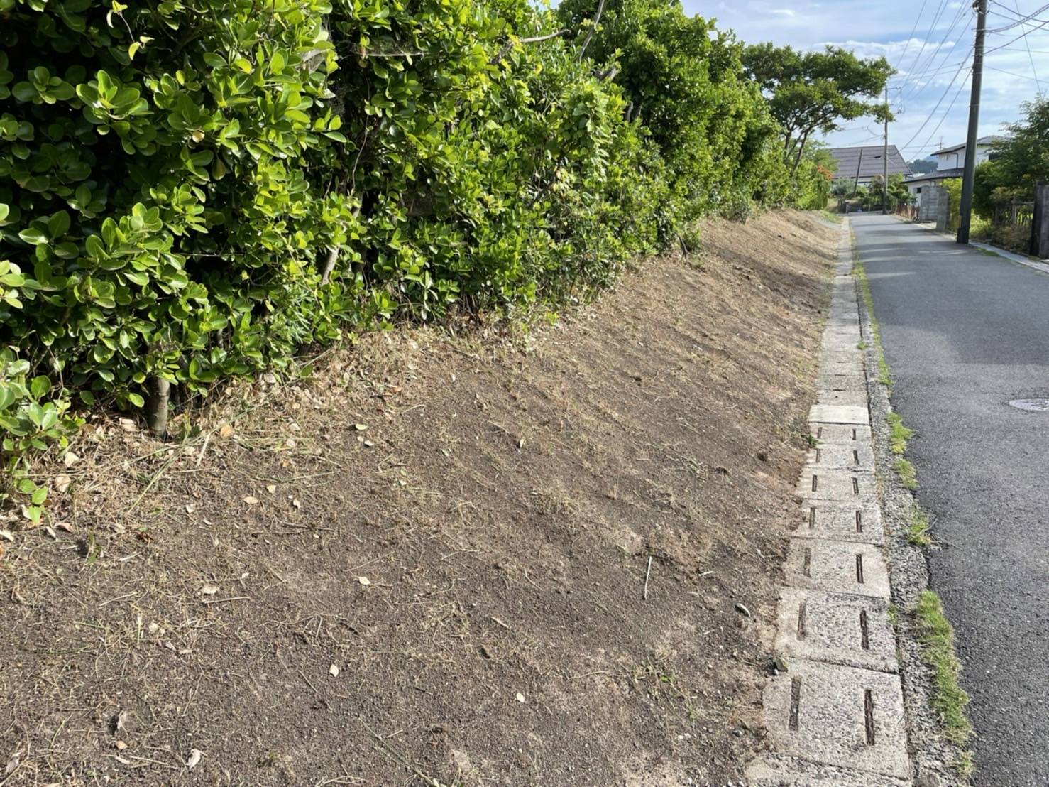 鳥取市：草刈り実績レポート
