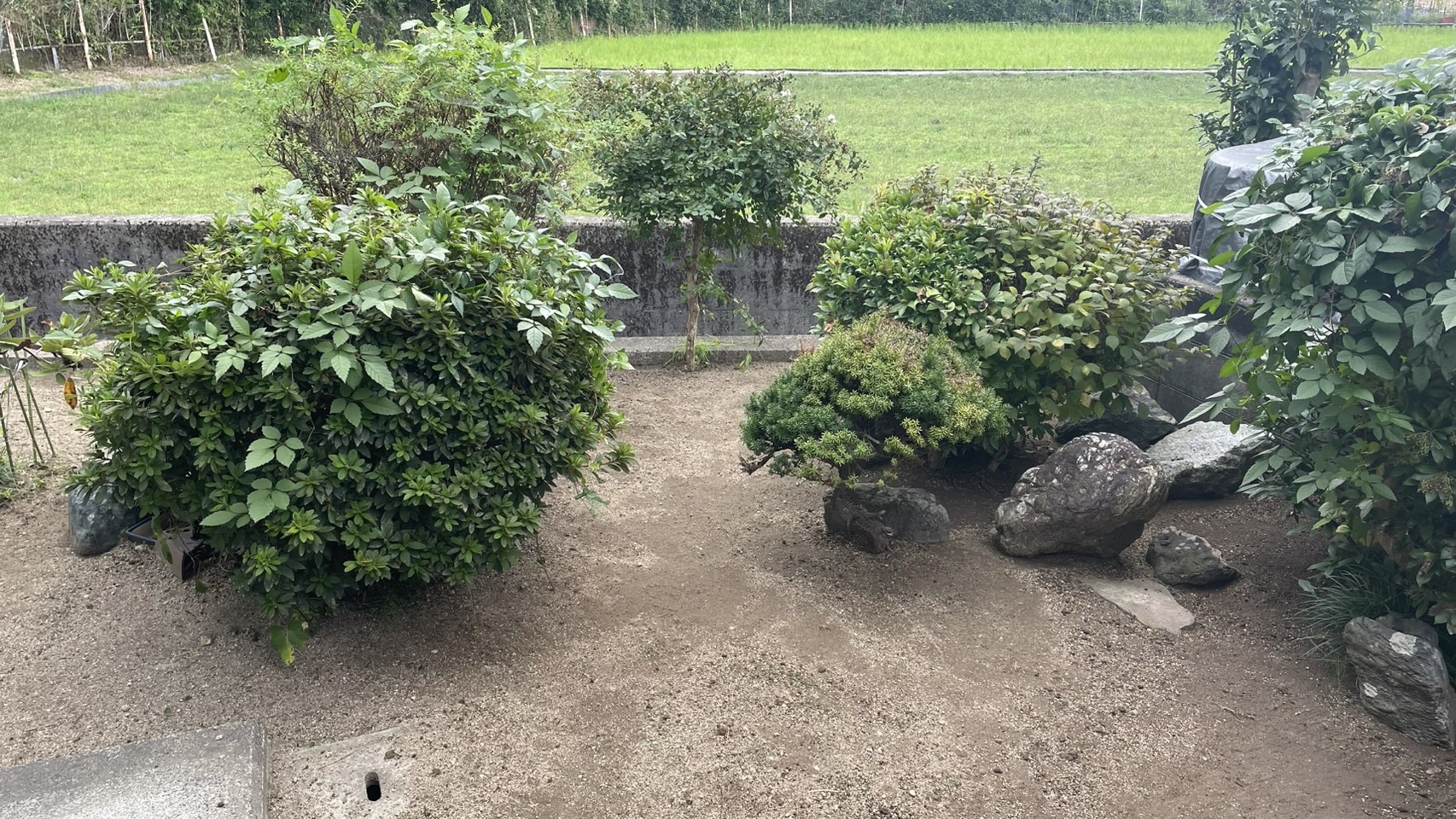 鳥取市卯垣：S様邸 草刈り実績レポート